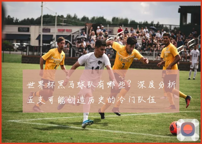 世界杯黑马球队有哪些?深度分析五支可能创造历史的冷门队伍